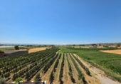 Chalet adosado con terreno en venta en Vilanova de Segrià ref: TR416732 foto