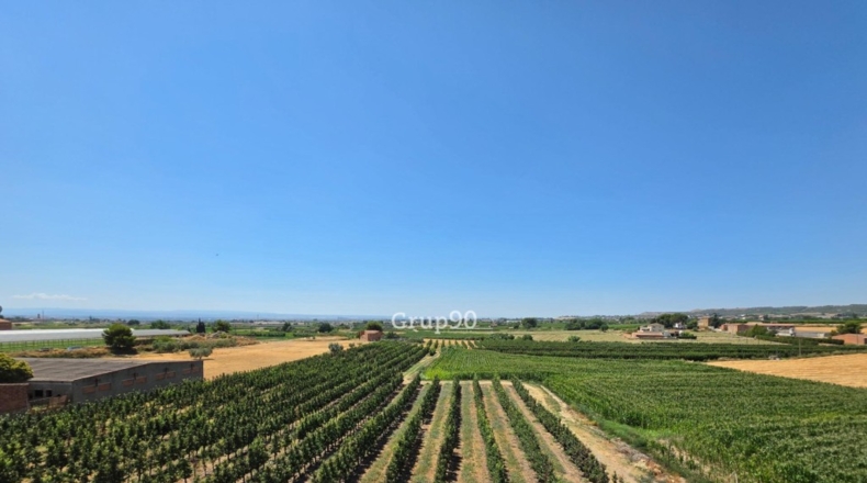 Lérida - Vilanova de Segrià - 271m2