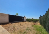 Chalet adosado con terreno en venta en Vilanova de Segrià ref: TR416732 foto