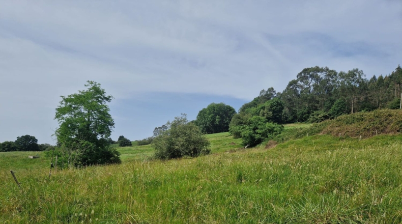 Cantàbria - San Pedro - 2073m2