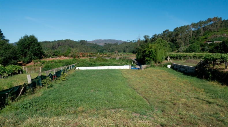 Pontevedra - Mondariz - 1000m2