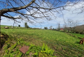 Pola de Siero 1800&nbsp;m²