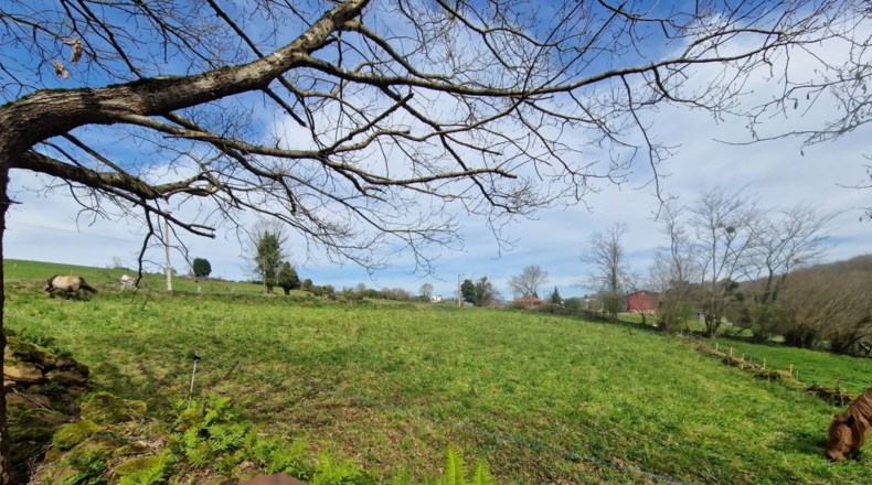 Asturias - Pola de Siero - 1800m2