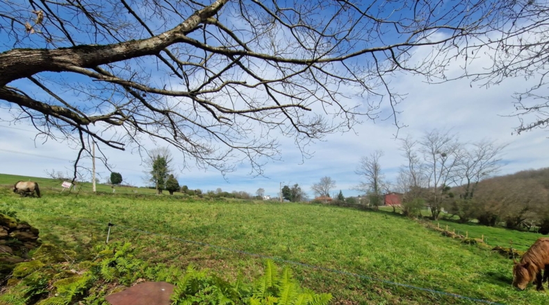 Asturias - Pola de Siero - 1800m2