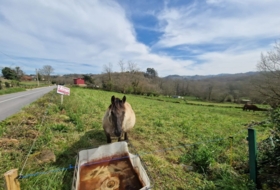 Pola de Siero 1800&nbsp;m²