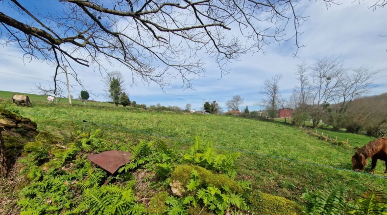 Asturias - Pola de Siero - 1800m2