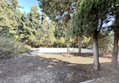 Finca rústica en venta en Lebrija ref: TR189069 foto
