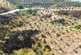 Órgiva 21517&nbsp;m²