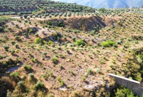 Órgiva 21517&nbsp;m²