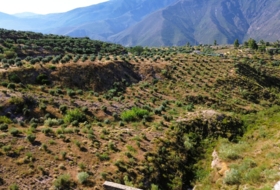 Órgiva 21517&nbsp;m²