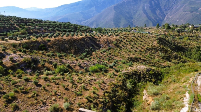Granada - Órgiva - 21517m2