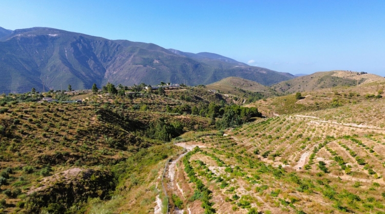 Granada - Órgiva - 21517m2