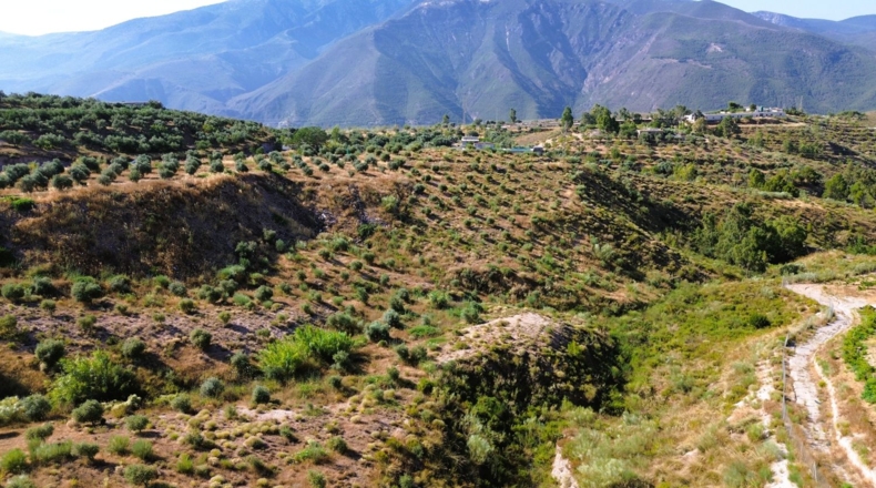Granada - Órgiva - 21517m2