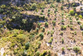 Órgiva 21517&nbsp;m²