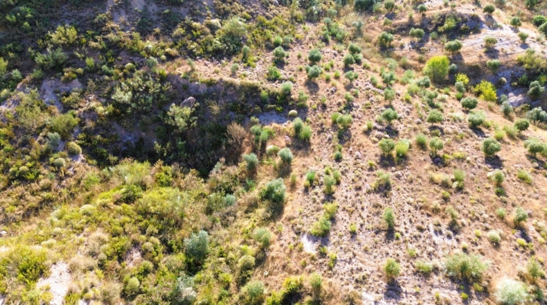 Granada - Órgiva - 21517m2