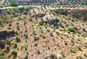Órgiva 21517&nbsp;m²