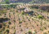 Terreno no urbanizable en venta en Órgiva ref: TR416752 foto