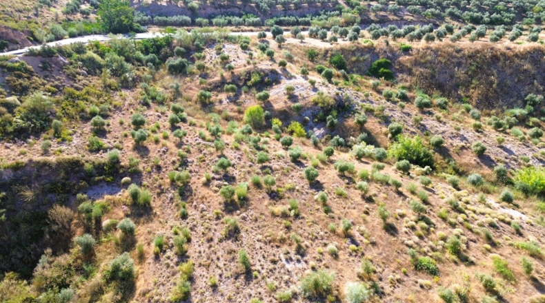 Granada - Órgiva - 21517m2