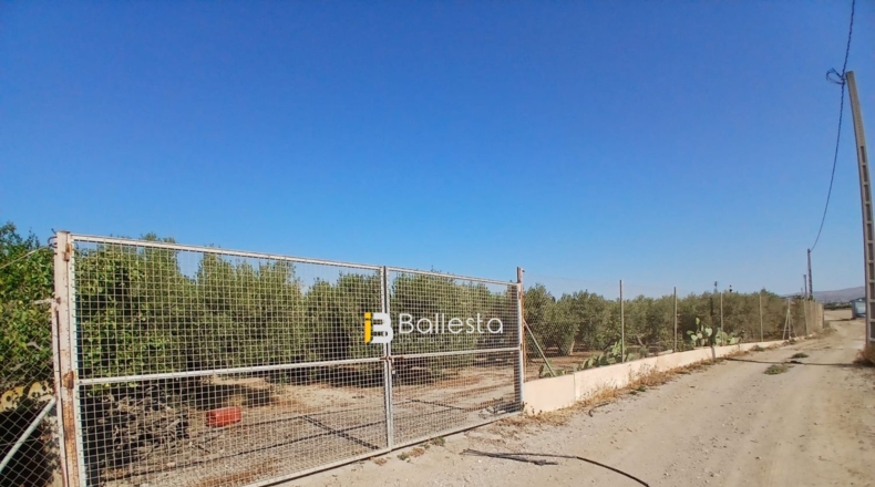 Almería - Huércal-Overa - 8125m2