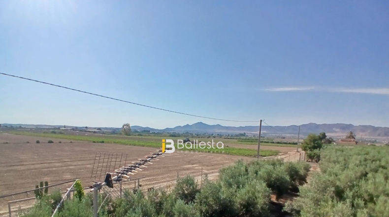 Almería - Huércal-Overa - 8125m2