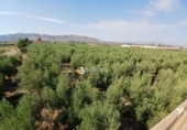 Terreno no urbanizable en venta en Huércal-Overa ref: TR416753 foto