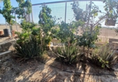 Terreno no urbanizable en venta en Huércal-Overa ref: TR416753 foto