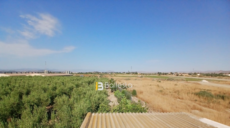 Almería - Huércal-Overa - 8125m2