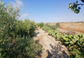 Terreno no urbanizable en venta en Huércal-Overa ref: TR416753 foto