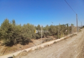 Terreno no urbanizable en venta en Huércal-Overa ref: TR416753 foto