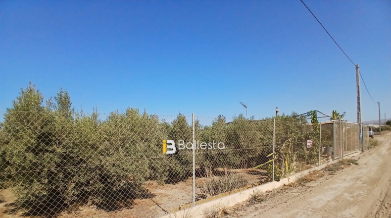 Almería - Huércal-Overa - 8125m2
