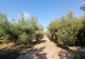 Terreno no urbanizable en venta en Huércal-Overa ref: TR416753 foto