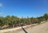 Terreno no urbanizable en venta en Huércal-Overa ref: TR416753 foto