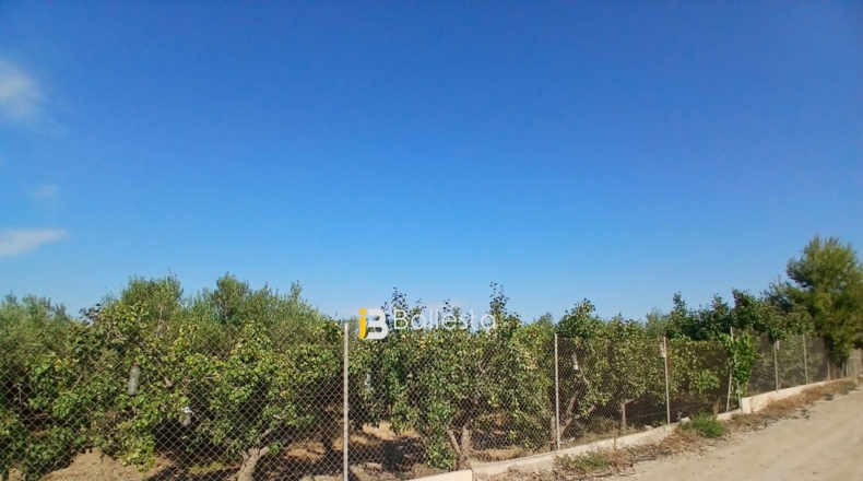 Almería - Huércal-Overa - 8125m2