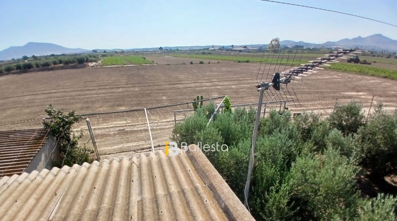 Almería - Huércal-Overa - 8125m2