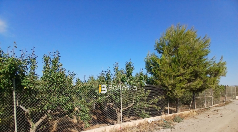 Almería - Huércal-Overa - 8125m2