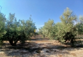 Terreno no urbanizable en venta en Huércal-Overa ref: TR416753 foto
