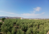 Terreno no urbanizable en venta en Huércal-Overa ref: TR416753 foto