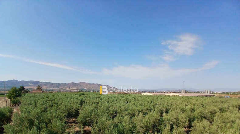 Almería - Huércal-Overa - 8125m2