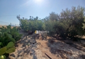 Terreno no urbanizable en venta en Huércal-Overa ref: TR416753 foto