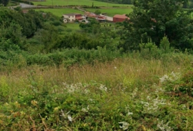 Gijón 1336&nbsp;m²