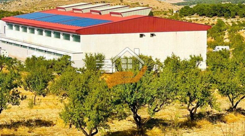 Almería - Vélez-Rubio - 1950m2