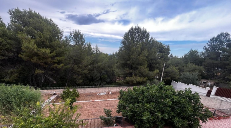 València - Villamarchante - 1667m2