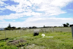 Castelló de la Plana 1871&nbsp;m² 
