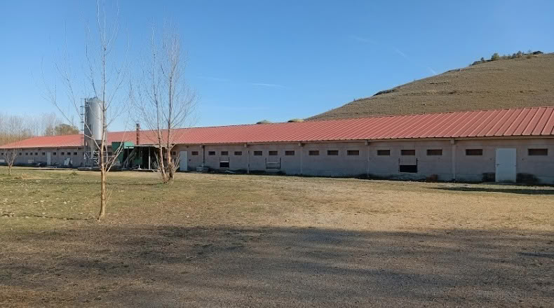 Бургос - Royuela de Río Franco - 10000m2