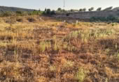 Terreno no urbanizable en venta en la A-7280, Mollina, ref: TR416799 foto