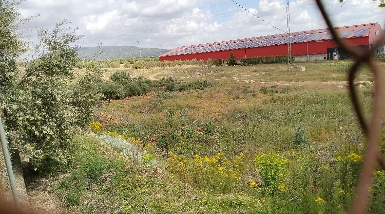 Málaga - Mollina - 10014m2