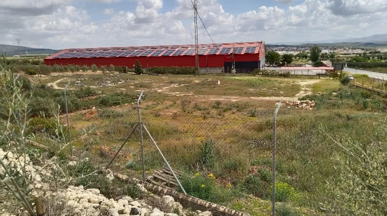Málaga - Mollina - 10014m2