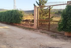Foto 8