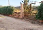 Terreno no urbanizable en venta en la A-7280, Mollina, ref: TR416799 foto