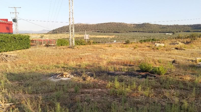 Málaga - Mollina - 10014m2